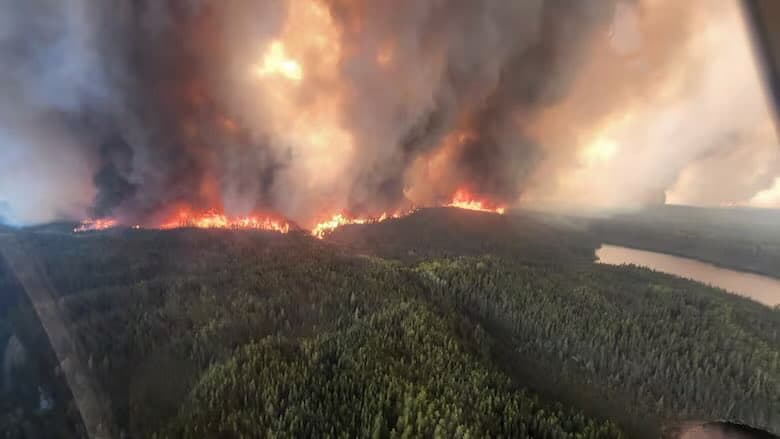 Incendies au Canada : des millions d'hectares déjà partis en fumée !