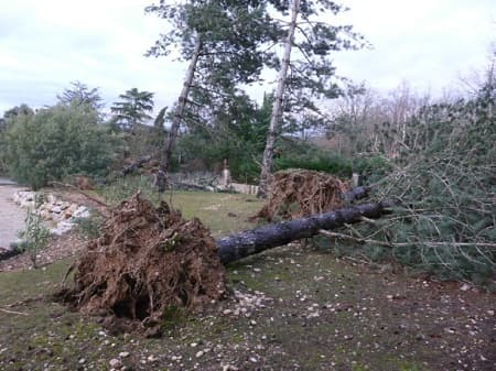 tempête 2009