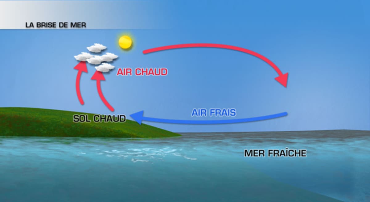 Image d'illustration pour Pourquoi fait-il plus souvent beau et chaud près de la Méditerranée ?