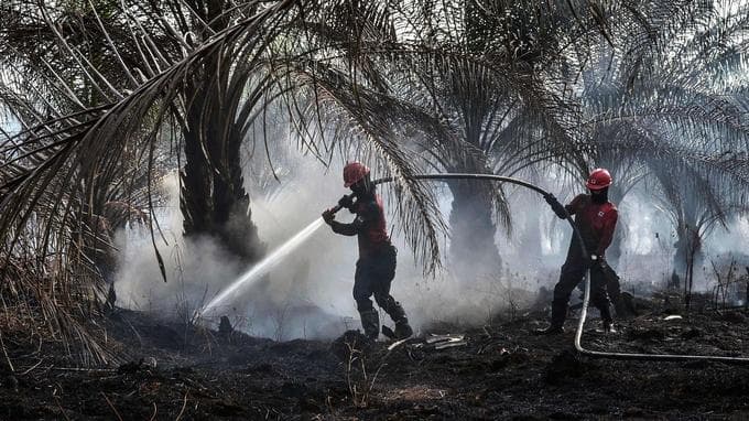 Image d'illustration pour De violents incendies enveloppent l'Asie du Sud-Est dans un nuage toxique