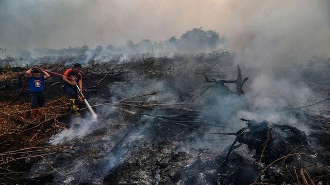 Image d'illustration pour De violents incendies enveloppent l'Asie du Sud-Est dans un nuage toxique