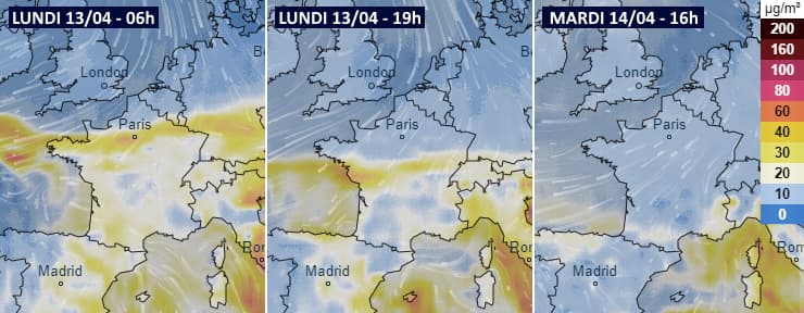 Image d'illustration pour Pollens : risques allergiques élevés dans plusieurs régions