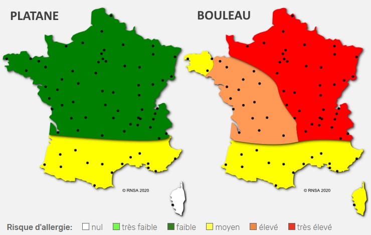 Image d'illustration pour Pollens : risques allergiques élevés dans plusieurs régions
