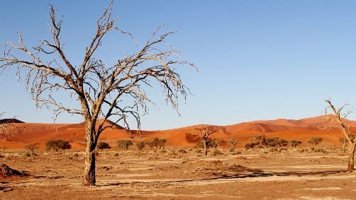 Image d'illustration pour Réchauffement et changement climatique - Veille documentaire