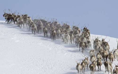 Image d'illustration pour Réchauffement et changement climatique - Veille documentaire