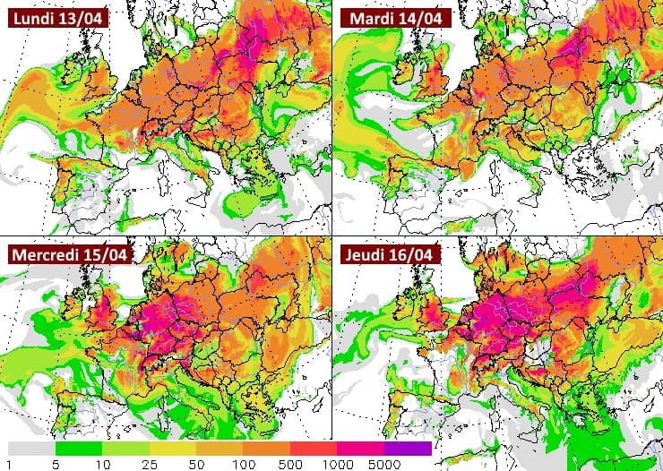 Image d'illustration pour Pollens : risques allergiques élevés dans plusieurs régions