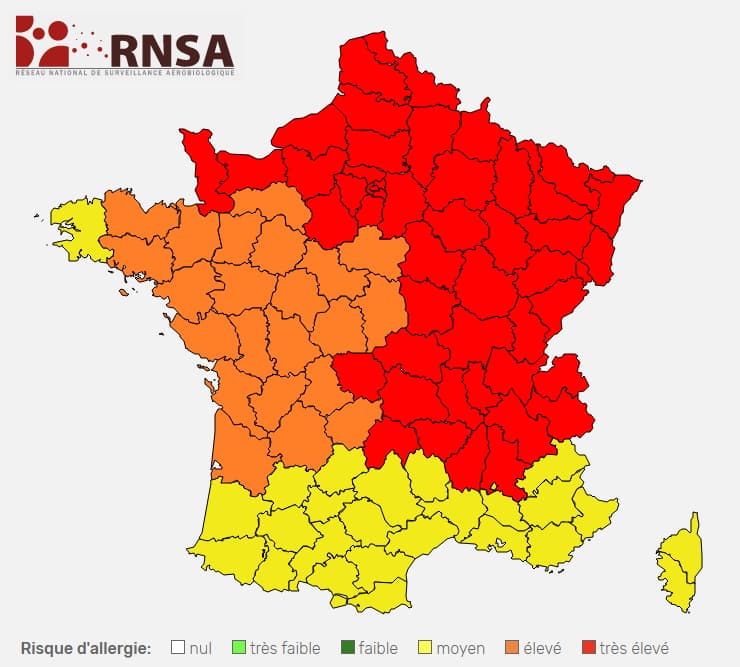 Image d'illustration pour Pollens : risques allergiques élevés dans plusieurs régions