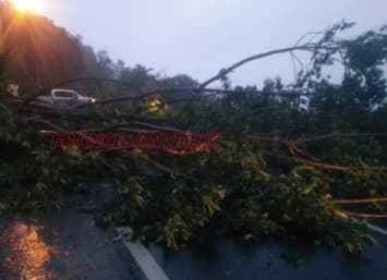 Image d'illustration pour Tempête tropicale Matthew sur les Antilles