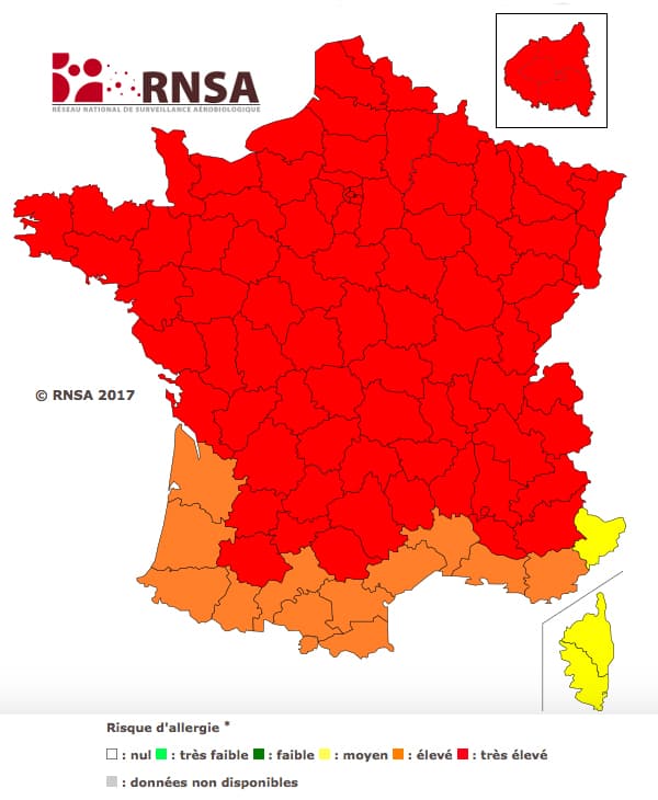 Image d'illustration pour Fortes chaleurs et allergies : alerte aux graminées !
