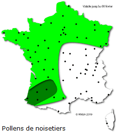 Image d'illustration pour Plus doux et plus lumineux : floraisons, pollens et allergies