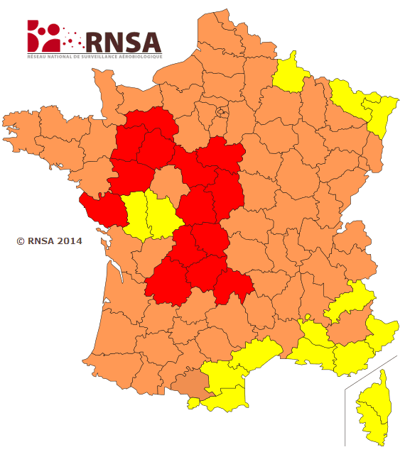 Image d'illustration pour Pollens de graminées : le risque d'allergie diminue légèrement