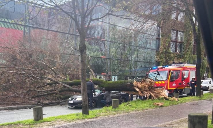 Image d'illustration pour Jorge : Nouvelle vigilance tempête sur la moitié Nord