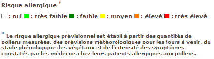 Image d'illustration pour Allergies : en pleine saison des pollens d'ambroisie