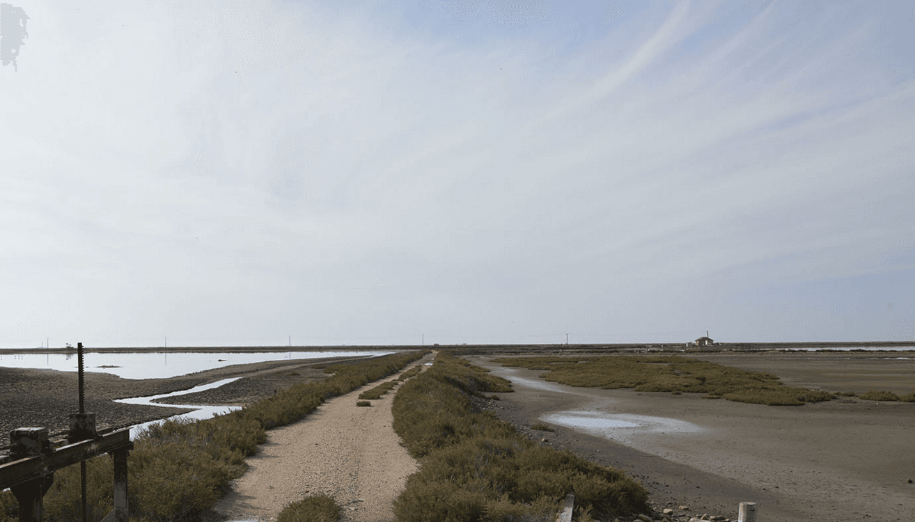 Image d'illustration pour COP 21 - Réchauffement & changement climatique : veille documentaire