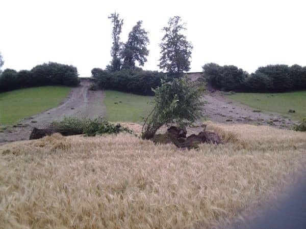 Image d'illustration pour Fortes pluies sur le Centre Est - inondations et coulés de boue en Suisse