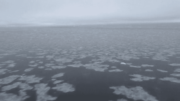 Image d'illustration pour COP 21 - Réchauffement & changement climatique : veille documentaire