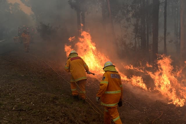 Image d'illustration pour Chaleur et incendies en Australie