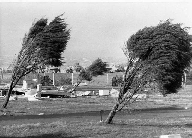Image d'illustration pour Retour sur la tempête exceptionnelle du 16 octobre 1987