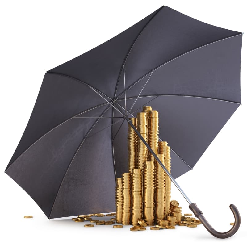 Image d'illustration pour Variations climatiques et activité économique - Météo business