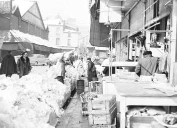 Image d'illustration pour Jusqu'à 80 cm de neige en février 1956 en Aquitaine