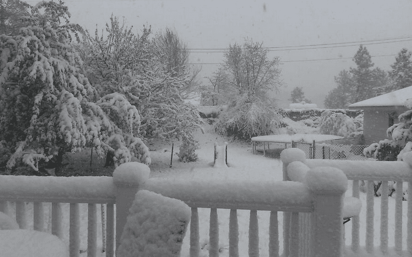 Image d'illustration pour Retour de la neige sur les Etats-Unis et le Canada