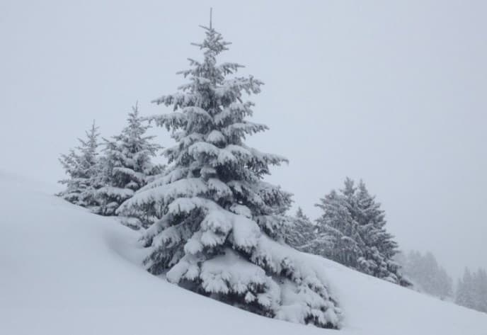 Image d'illustration pour Les vacanciers de février profitent de la neige en montagne