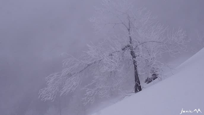 Image d'illustration pour Les vacanciers de février profitent de la neige en montagne