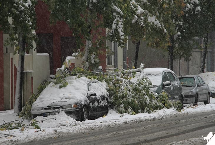 Image d'illustration pour Neige exceptionnelle à Grenoble le 28 octobre 2012