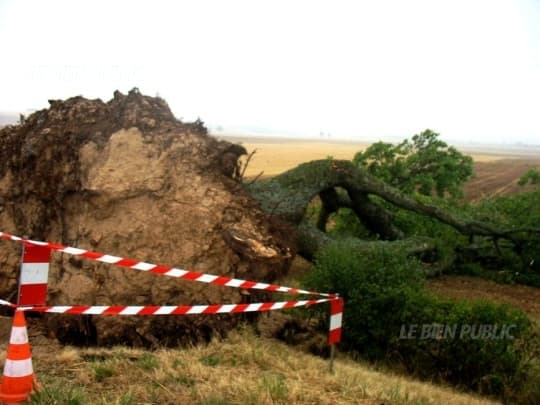 Image d'illustration pour De violents orages interrompent les fortes chaleurs du 6 au 10 août