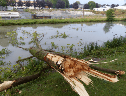 Image d'illustration pour Bilan des violents orages les 12 & 13 août : vent, foudre, inondations