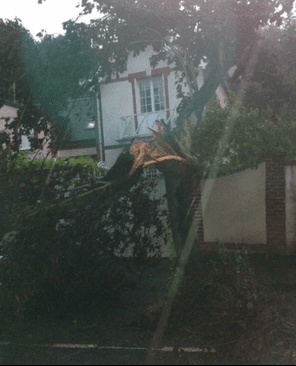 Image d'illustration pour Synthèse de la dégradation pluvio-orageuse du 18 au 22 juillet
