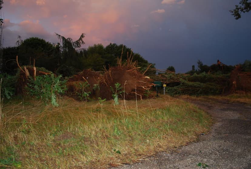 Image d'illustration pour Dépression Zeljko : orage violent, tornade et foudre meurtrière