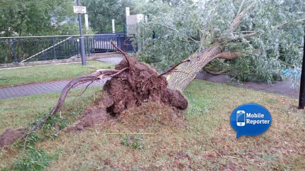 Image d'illustration pour Orage et rafales sur le Nord-Est - blessés en Lorraine et au Luxembourg