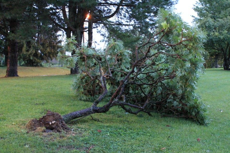 Image d'illustration pour Orage localement fort et dégâts sur le Centre, la Bourgogne et la Lorraine
