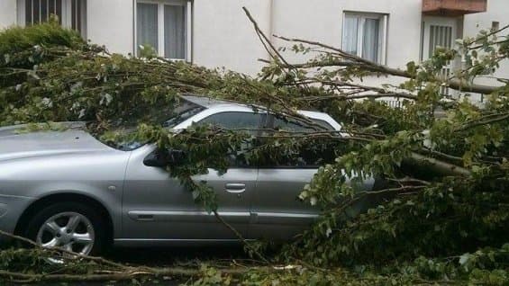 Image d'illustration pour Orage et fortes rafales de vent sur le Nord-Est