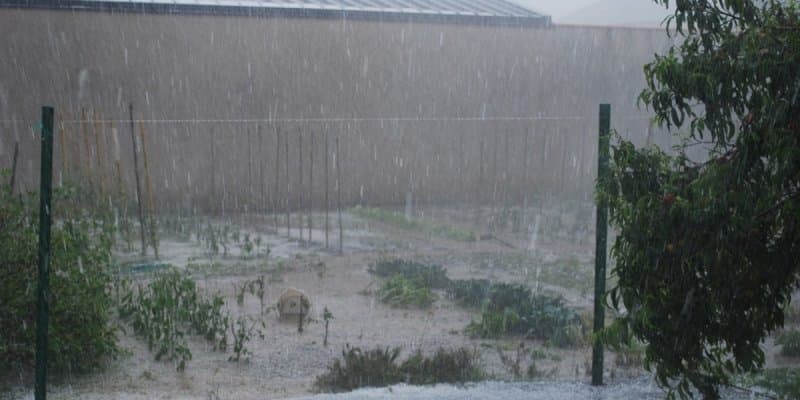 Image d'illustration pour Orage fort en Aquitaine - Grêle et rafales sur le Béarn