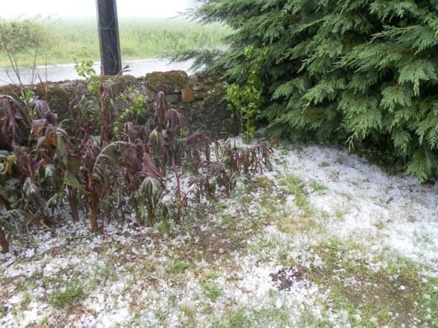 Image d'illustration pour Orage fort en Aquitaine - Grêle et rafales sur le Béarn