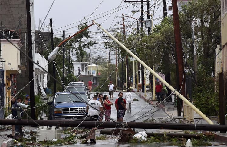 Image d'illustration pour Cyclones au Mexique : l'ouragan Odile fait des dégâts, la tempête Polo menace