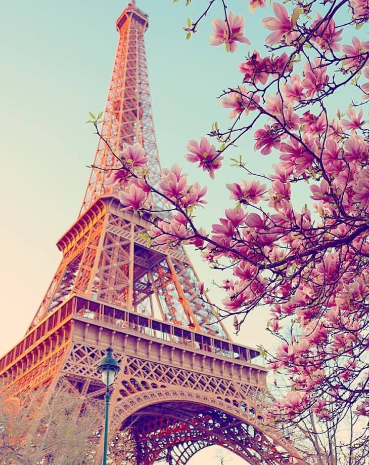 Image d'illustration pour TOP 10 des photos météo du mois de mars
