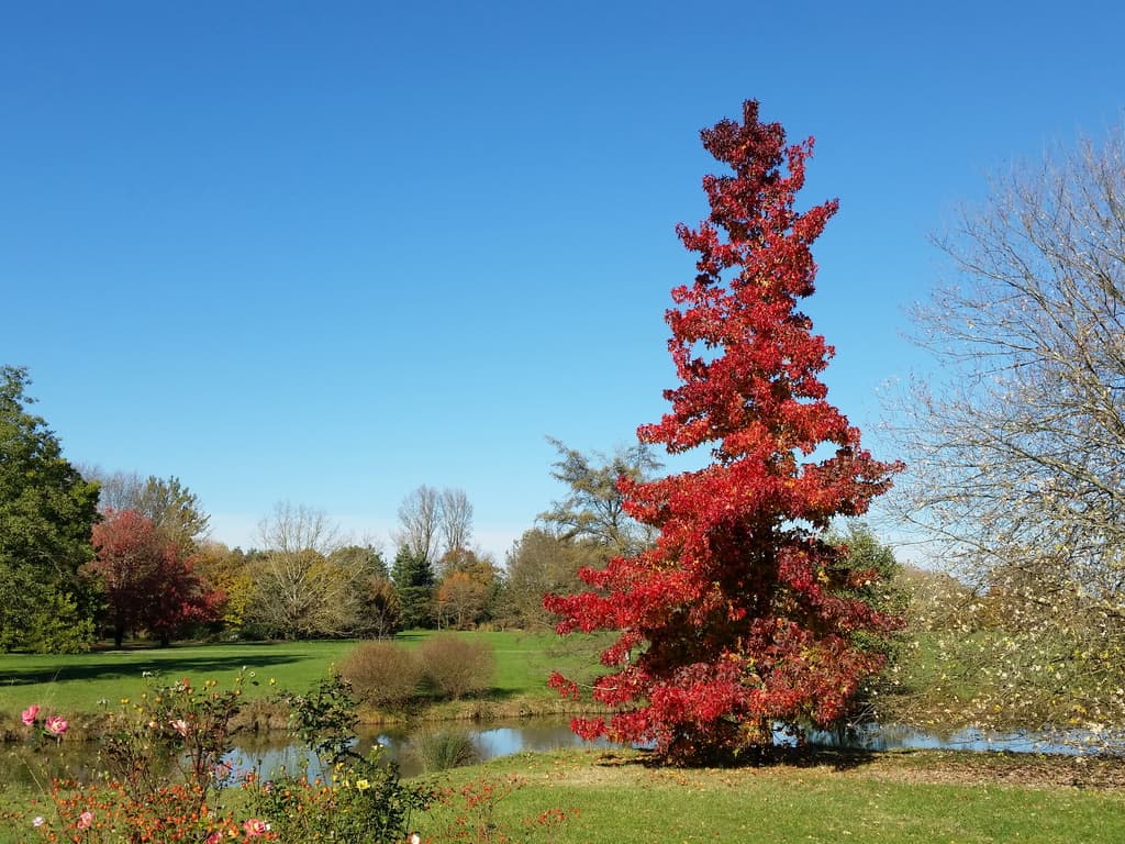 Image d'illustration pour Vos plus belles photos de l'automne