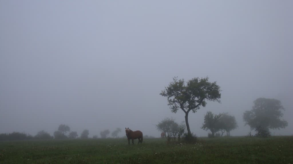 Image d'illustration pour Vos photos météo de la semaine
