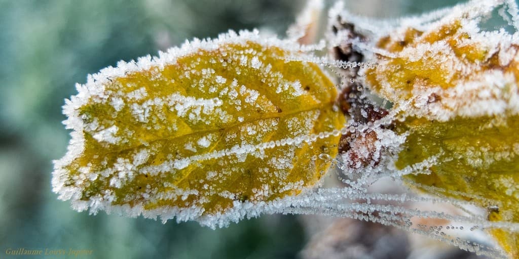 Image d'illustration pour Vos plus belles photos de l'automne
