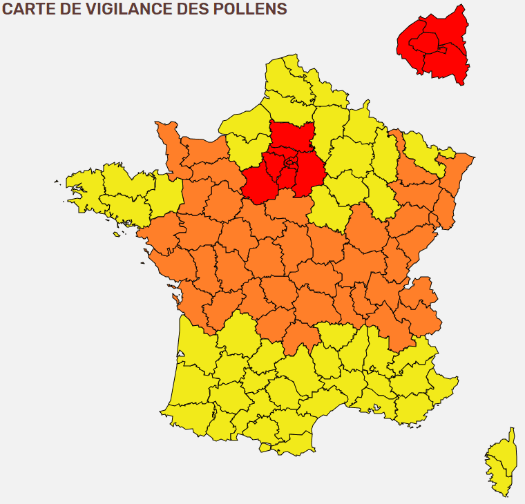 Image d'illustration pour Pollens - suivi et prévision