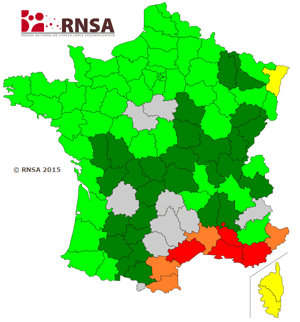 Image d'illustration pour Les pollens sont de retour avec le printemps : gare aux allergies