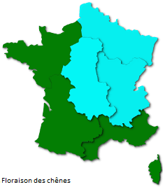 Image d'illustration pour Orages et pollens de graminées favorisent la crise d'asthme