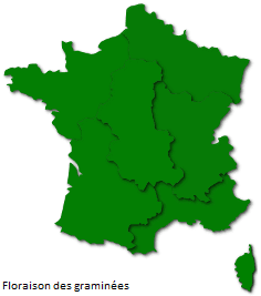 Image d'illustration pour Orages et pollens de graminées favorisent la crise d'asthme