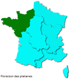 Image d'illustration pour Orages et pollens de graminées favorisent la crise d'asthme