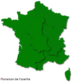 Image d'illustration pour Orages et pollens de graminées favorisent la crise d'asthme