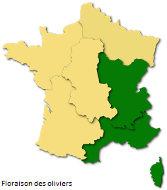 Image d'illustration pour Orages et pollens de graminées favorisent la crise d'asthme