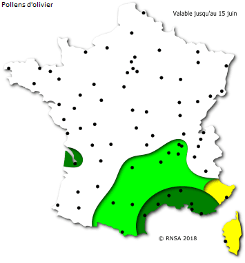 Image d'illustration pour Orages et pollens de graminées favorisent la crise d'asthme